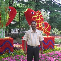 Mohamed Elhassan Photo 6