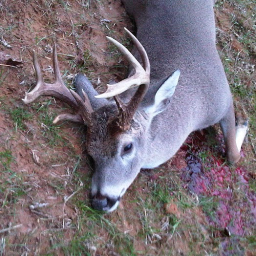 Cody Snyder Photo 13