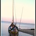 Antonio Ligeiro Photo 10