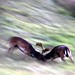 Roberta Bell Photo 40