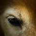 Michael Schade Photo 35