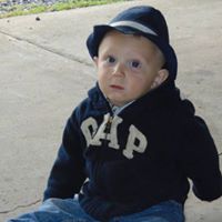 Paul Scholl Photo 4