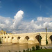 Francisco Romano Photo 31