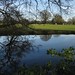 Holly Pond Photo 37