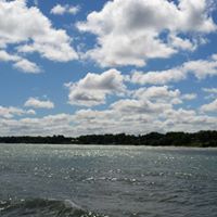 Anne King Photo 5
