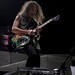 George Hammett Photo 17