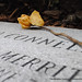 Richard Connell Photo 43