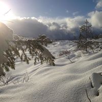 Anne Haugen Photo 8