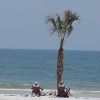 Brenda Wadsworth Photo 4