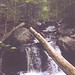 Shirley Brooks Photo 37