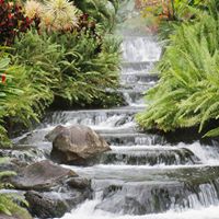 Jacqueline Land Photo 1