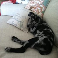 Ellen Fink Photo 4