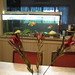 Holly Shouse Photo 18