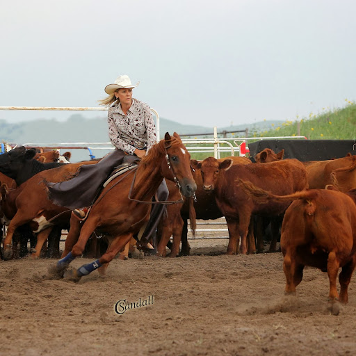 Lisa Jamison Photo 15