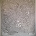 Peter Appleton Photo 24