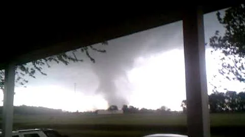 Cindy Newsome Photo 22