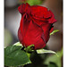 Rose Valentin Photo 30