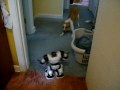 Jake Dukes Photo 22
