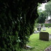 Thomas Edmunds Photo 27