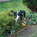 Jake Ball Photo 39