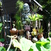 Michael Onesko Photo 12
