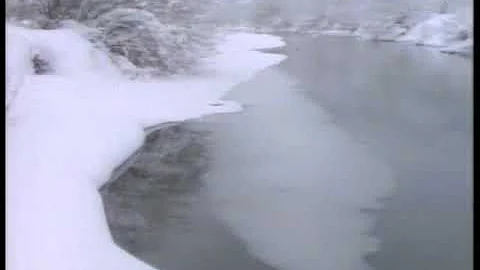 Irit Winter Photo 10