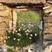 Geraldine Fitzpatrick Photo 34