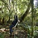 Phoebe Bush Photo 17