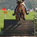 Adrian Hill Photo 47