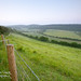 Dawn Downing Photo 32