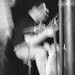 Richard Jurado Photo 34