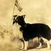 Judy Bales Photo 30