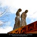 Aaron Hussey Photo 31