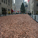 Penny Fields Photo 33