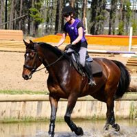 Colleen Brogan Photo 5
