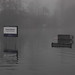 Shannon Flood Photo 41