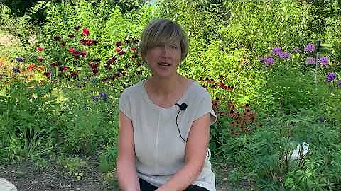 Joan Ragsdale Photo 14