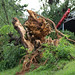 Evelyn Garrison Photo 41