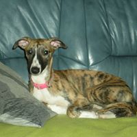 Christine Eden Photo 8