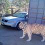 Barbara Brower Photo 22