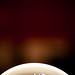 Antonio Montez Photo 33