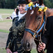 Peter Lewin Photo 35