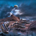 Roland Taylor Photo 42