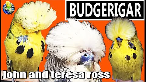 Teresa Ross Photo 38