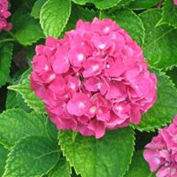 Stacy Abbott Photo 7