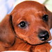 Bonnie Blanton Photo 30