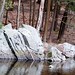 Diane Rock Photo 30