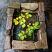 Autumn Sparks Photo 25