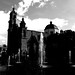 Marco Fuentes Photo 42