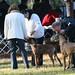 Alyson Murphy Photo 26